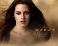 /album/fotogaleria/bella-swan-new-moon-twilight-series-7256307-1280-1024-jpg1/